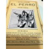 EL PERRO