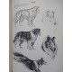 THE ART OF ANIMAL DRAWING