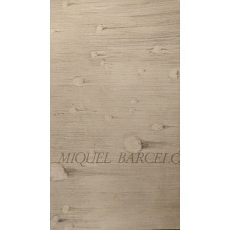MIGUEL BARCELÓ Catálogo Obra 1989