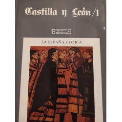CASTILLA Y LEÓN 1