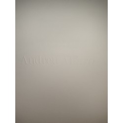 CUADERNO DE ARTISTA -ANDREU ALFARO-